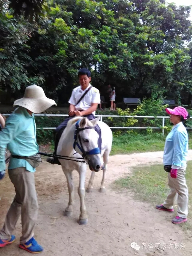 ���ҷ���׌��������á�2015��B�T�м�����(ji��)���(d��ng)��