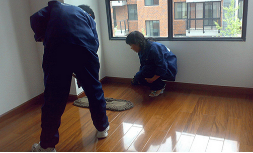 �B�T������˾