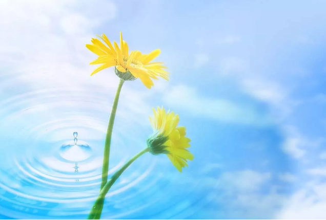 2018��(j��ng)�����¸��f�f,�m�������Ժ���!